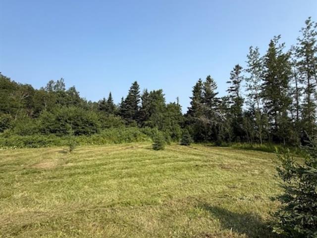 Land/Lot