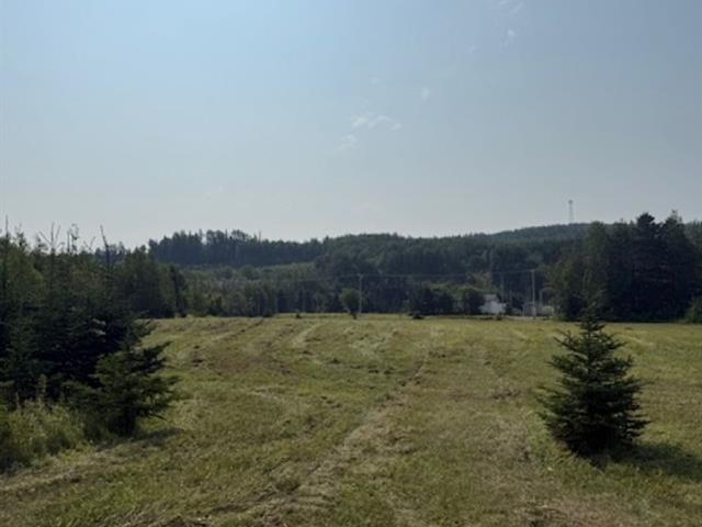 Land/Lot