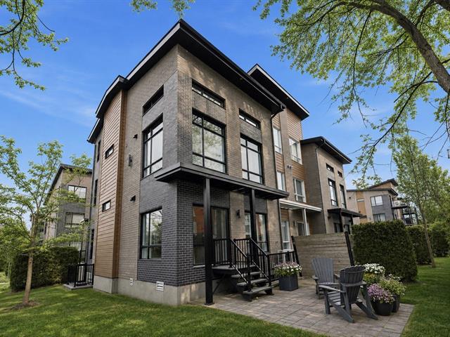 Backyard - 81, Rue Reid